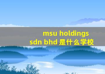 msu holdings sdn bhd 是什么学校